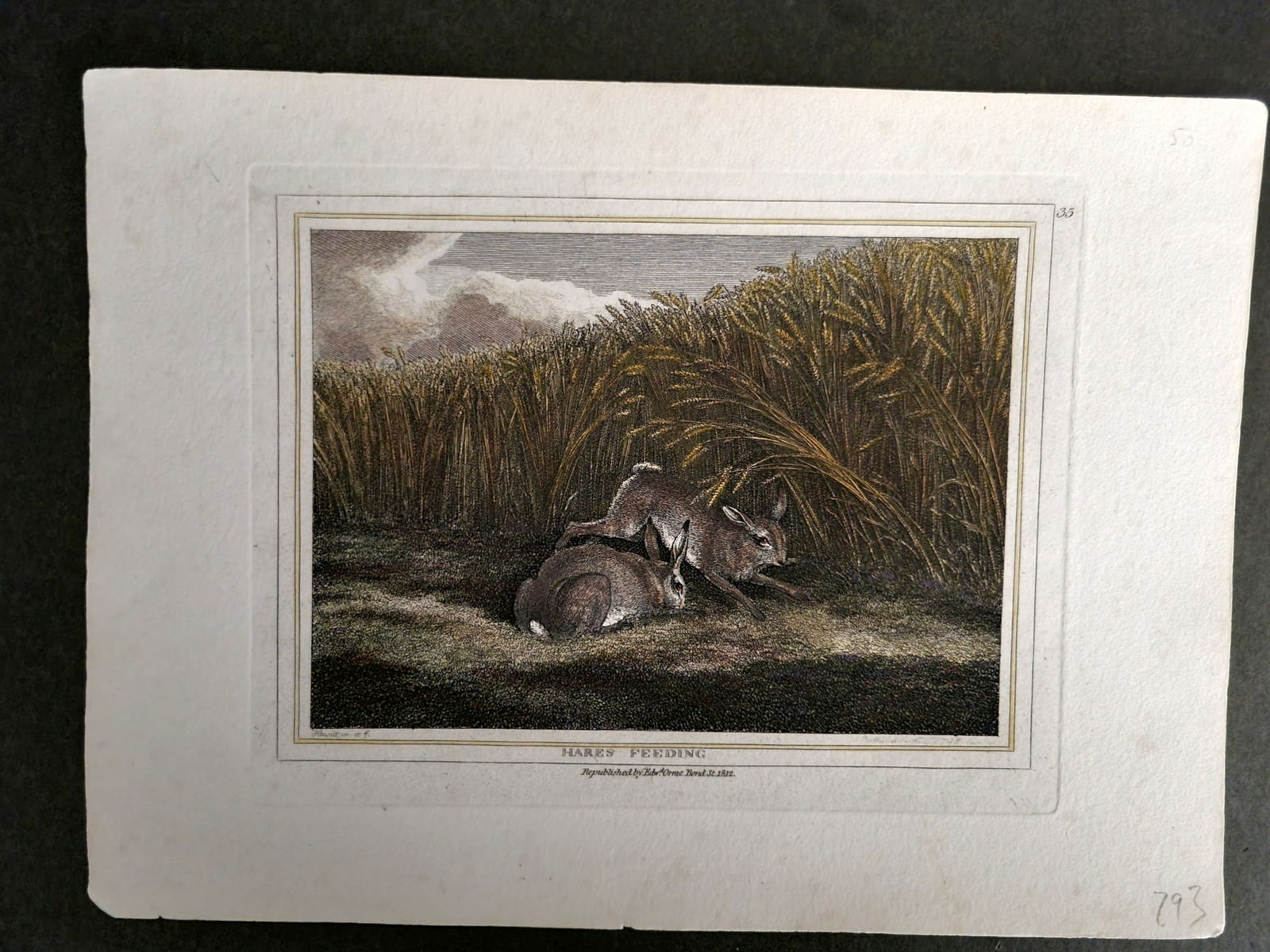 Howitt, Samuel 1812 Hand Col Etching. Hares Feeding 35 (1 of 1)