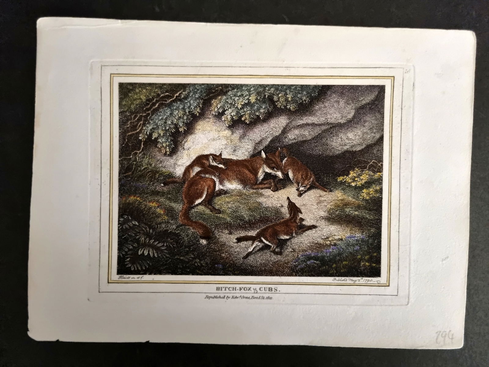 Howitt, Samuel 1812 Hand Col Etching. Bitch Fox & Cubs 18 (1 of 1)