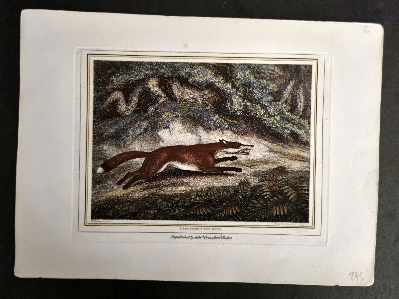 Howitt, Samuel 1812 Hand Col Etching. Hunted Fox 19 (1 of 1)