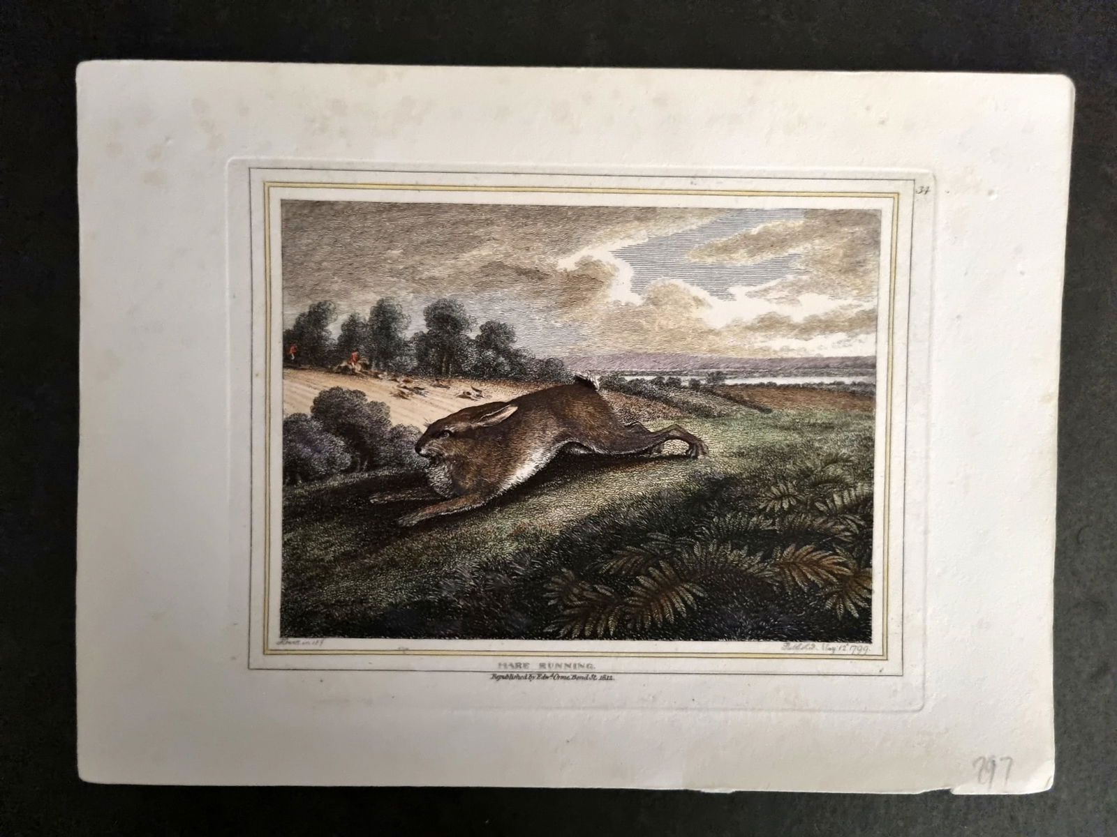 Howitt, Samuel 1812 Hand Col Etching. Hare Running 34 (1 of 1)