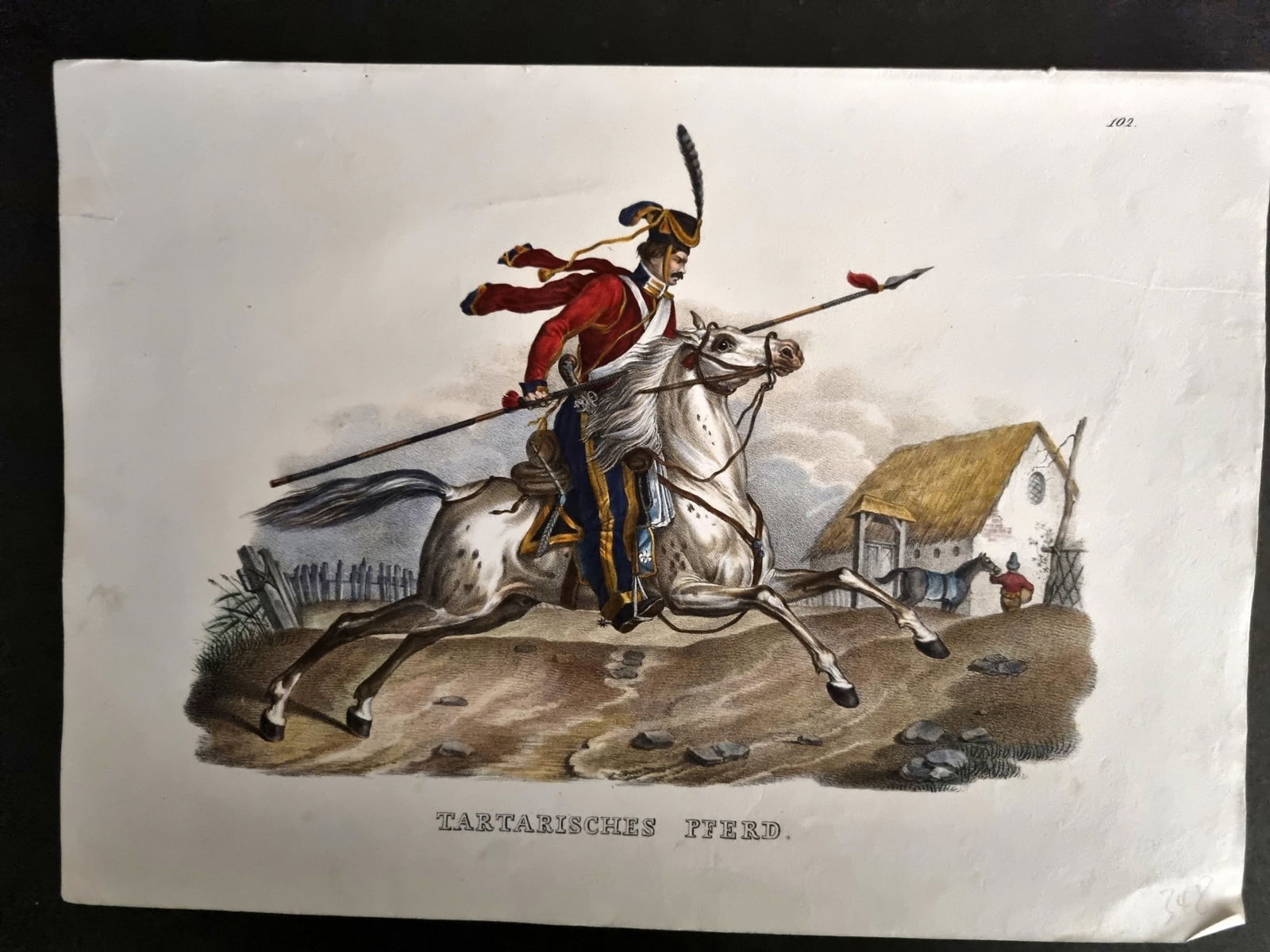 Schinz & Brodtmann 1844 Folio Hand Col Horse Print. Tartary. Tartarisches Pferd 102 (1 of 1)