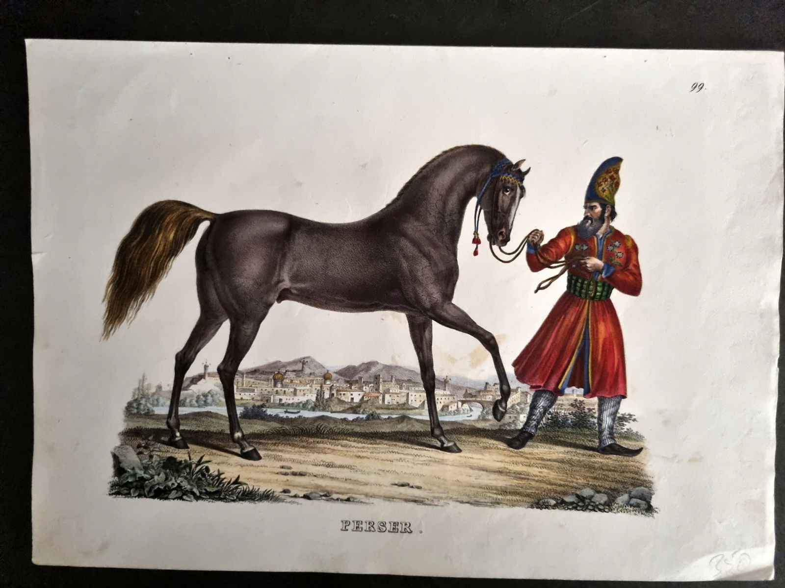 Schinz & Brodtmann 1844 Folio Hand Col Horse Print. Persian. Perser 99: Folio Hand Colored Lithograph Published 1831-45, Zurich for "Naturgeschichte und Abbildungen der Menschen..." by Heinrich Rudolph Schinz. Lithographed by Karl Joseph Brodtmann. Paper Size: 13.5 x 9.5