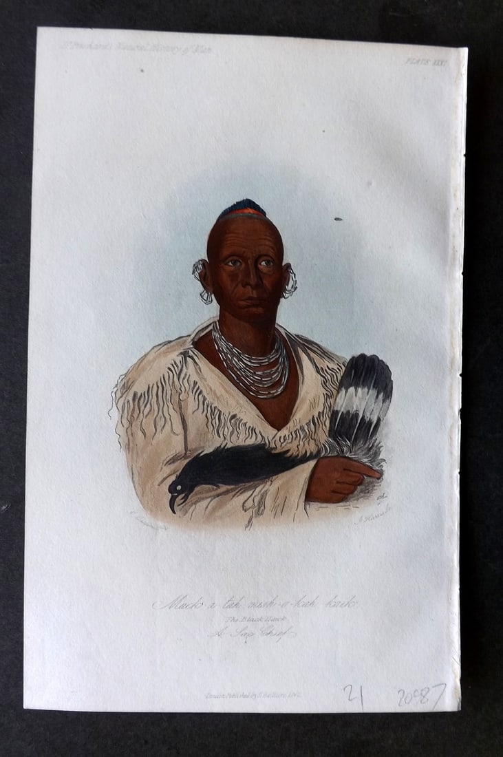 Prichard, James 1848 Print. Much-a-tah, The Black Hawk, Sauk Chief. Native American 31 (1 of 1)