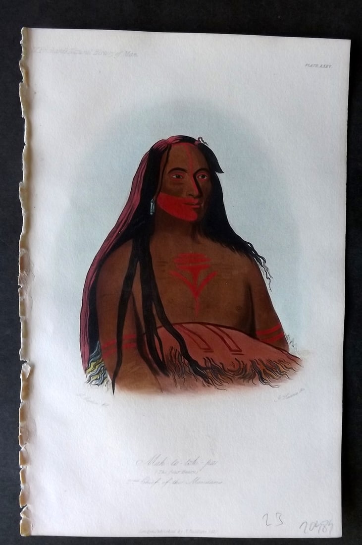 Prichard, James 1848 Print. Mah-to-toh-pa, The Four Bears Chief of the Mandans. USA 35 (1 of 1)