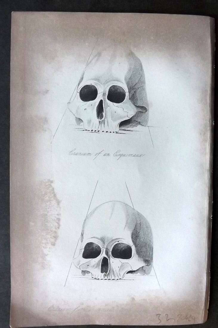 Prichard, James 1848 Antique Print. Cranium of an Eskimaux & Skull from Niagara 02 (1 of 1)