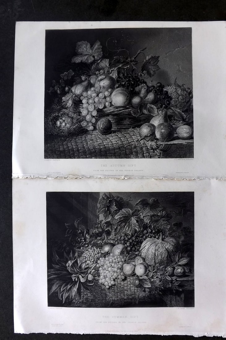 After G. Lance 1854 Pair of Folio Antique Fruit Prints (1 of 1)