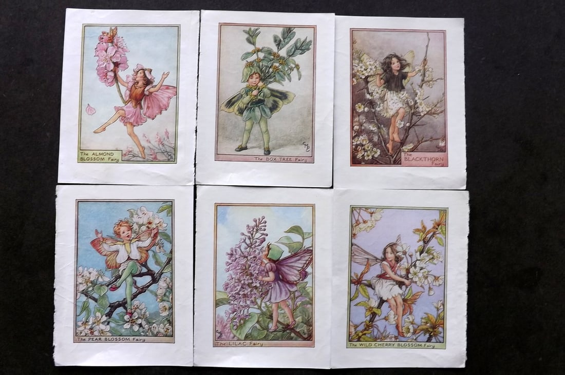 Barker, Cicely Mary C1940 Lot of 6 Flower-Fairy Prints - Tree (1 of 1)