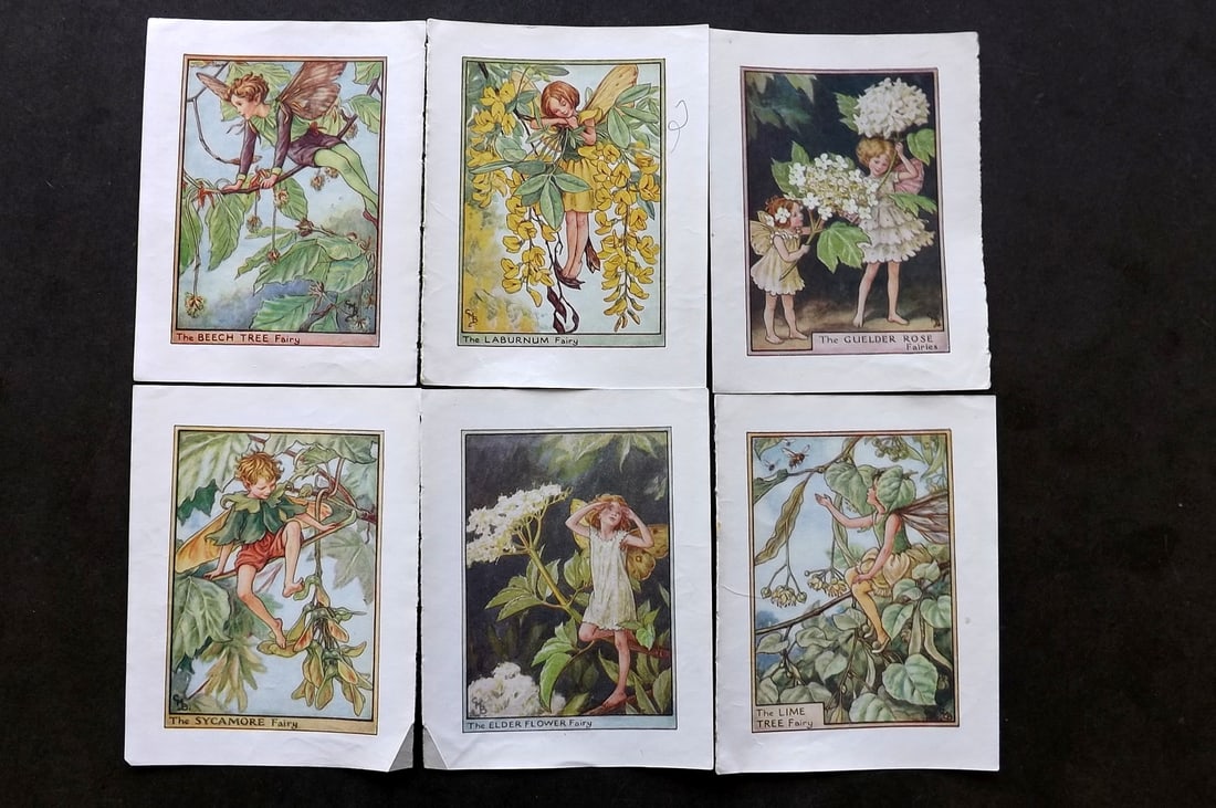 Barker, Cicely Mary C1940 Lot of 6 Flower-Fairy Prints - Tree (1 of 1)