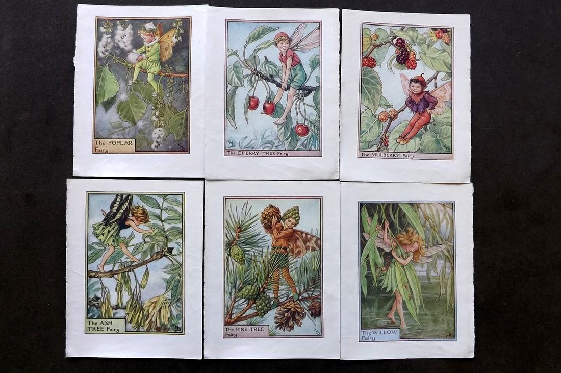 Barker, Cicely Mary C1940 Lot of 6 Flower-Fairy Prints - Tree (1 of 1)