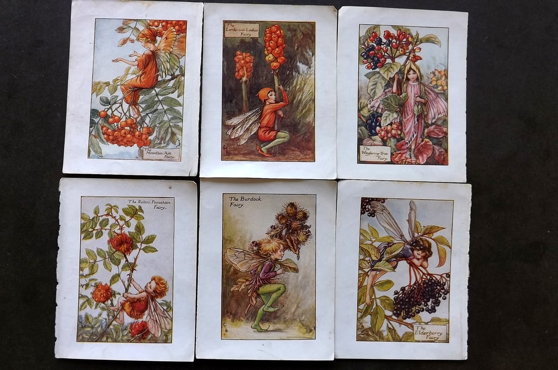 Barker, Cicely Mary C1940 Lot of 6 Flower-Fairy Prints - Autumn (1 of 1)