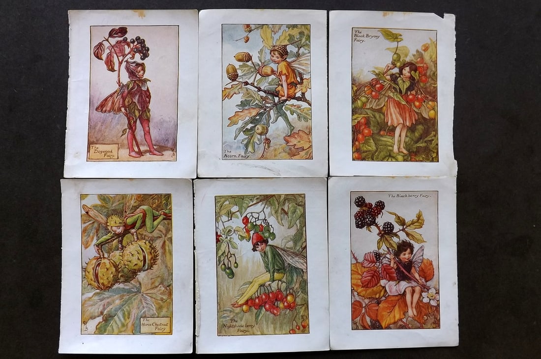 Barker, Cicely Mary C1940 Lot of 6 Flower-Fairy Prints - Autumn (1 of 1)