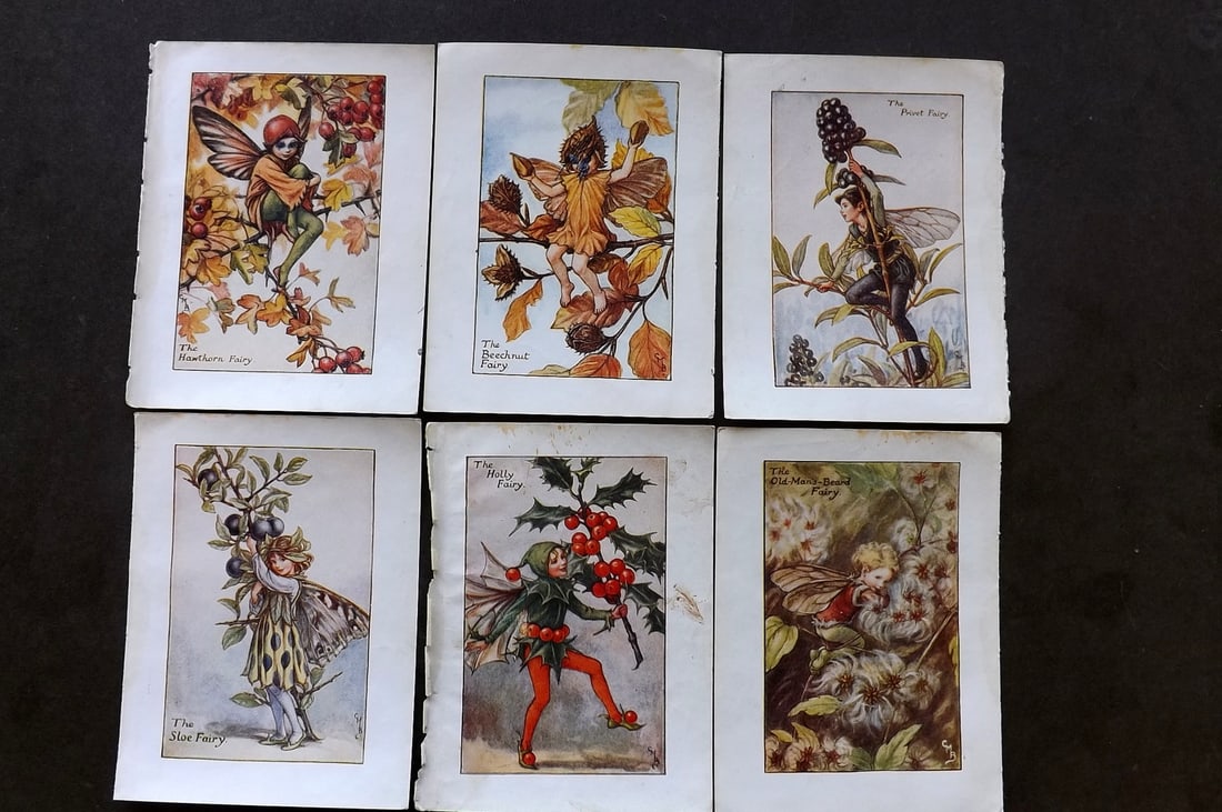 Barker, Cicely Mary C1940 Lot of 6 Flower-Fairy Prints - Autumn (1 of 1)