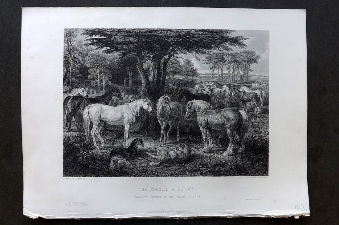 After J. Ward 1854 Folio Print.Council of Horses (1 of 1)