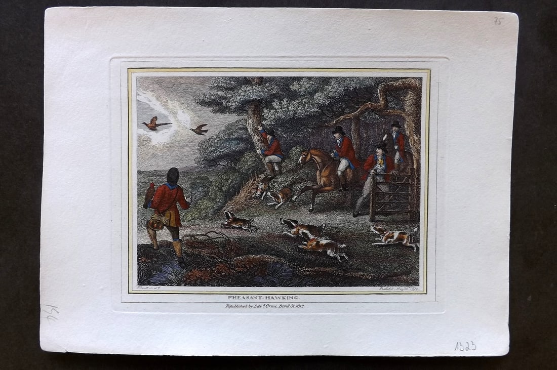 Howitt, Samuel 1812 Hand Col Etching. Pheasant Hawking (1 of 1)