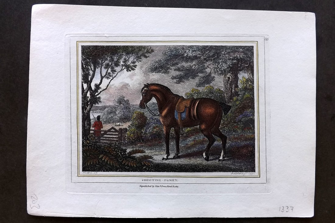Howitt, Samuel 1812 Hand Col Etching. Shooting Pony (1 of 1)