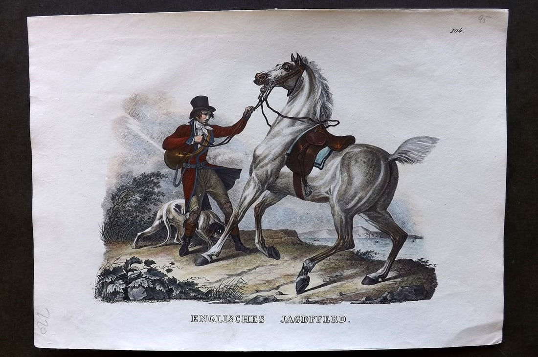 Schinz & Brodtmann 1844 Folio Hand Col Horse Print. English. Englishches Jagdpferd (1 of 1)