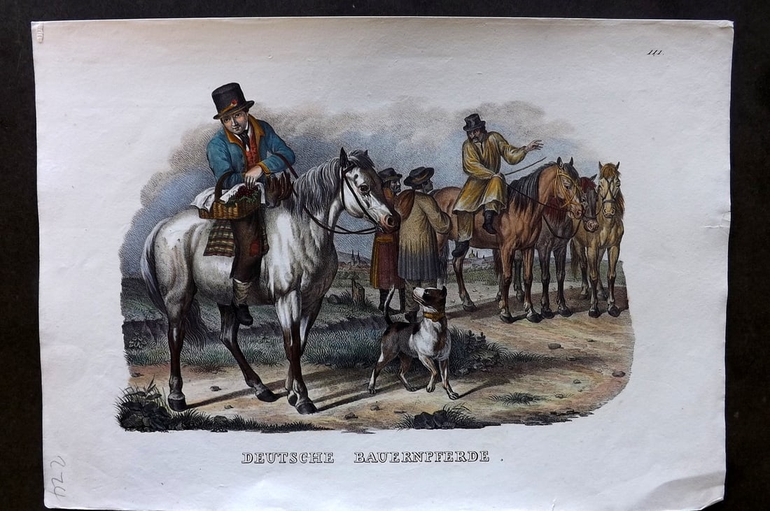 Schinz & Brodtmann 1844 Folio Hand Col Horse Print. German. Deutsche Bauernpferde: Folio Hand Colored Lithograph Published 1831-45, Zurich for "Naturgeschichte und Abbildungen der Menschen..." by Heinrich Rudolph Schinz. Lithographed by Karl Joseph Brodtmann. Paper Size: 13.5 x 9.5