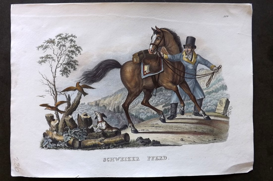 Schinz & Brodtmann 1844 Folio Hand Col Horse Print. Schwiezer Pferd: Folio Hand Colored Lithograph Published 1831-45, Zurich for "Naturgeschichte und Abbildungen der Menschen..." by Heinrich Rudolph Schinz. Lithographed by Karl Joseph Brodtmann. Paper Size: 13.5 x 9.5