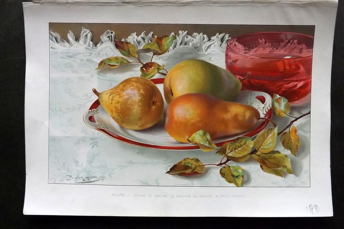 Thompson, Robert 1902 Fruit Print. Pears: Chromolithograph Published 1900-02, London for "The Gardener's Assistant..." by Robert Thompson. Paper Size: 10.5 x 7 inch (27 x 18cm) Good Condition
