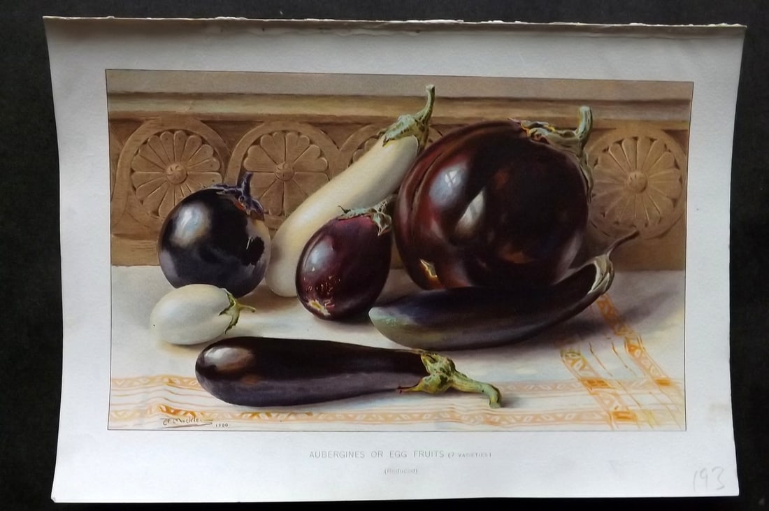 Thompson, Robert 1902 Fruit Print. Aubergines or Egg Fruits: Chromolithograph Published 1900-02, London for "The Gardener's Assistant..." by Robert Thompson. Paper Size: 10.5 x 7 inch (27 x 18cm) Good Condition