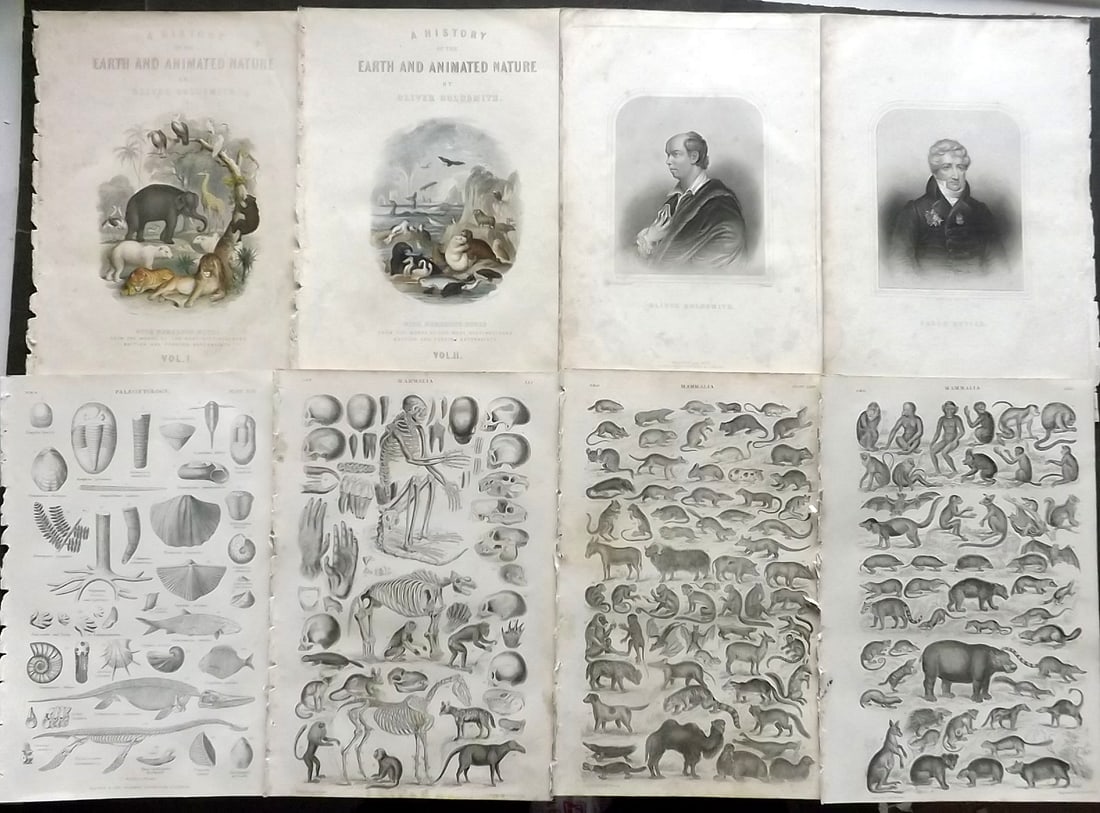 Goldsmith, Oliver 1864 Lot of 8 Natural History Prints & Portraits (1 of 1)
