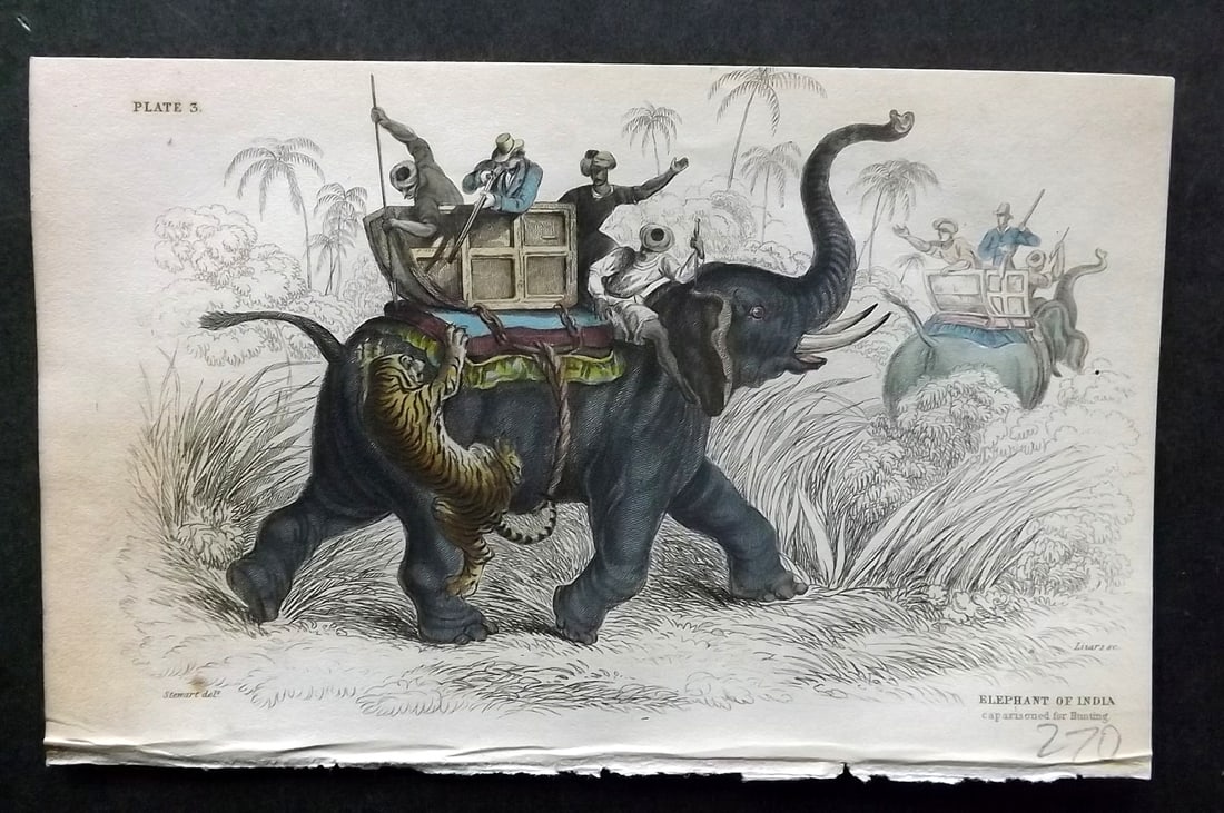 Jardine, William 1836 Hand Col Print. Elephant of India 03 (1 of 1)