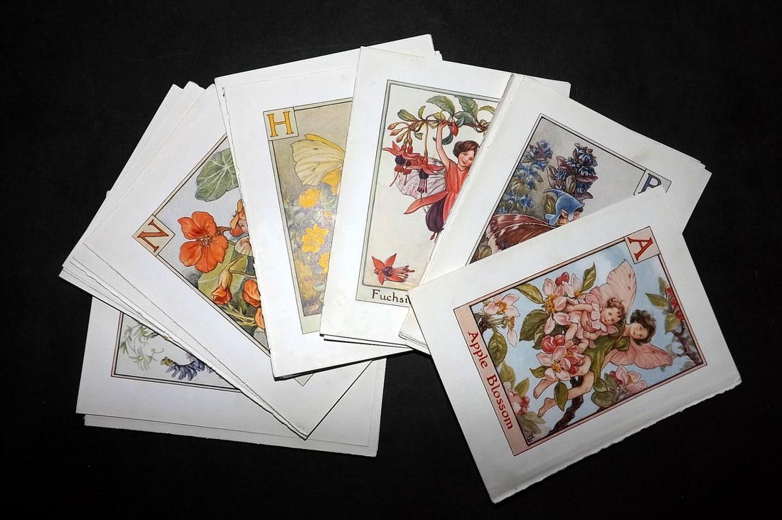 Barker, Cicely Mary C1940 Lot of 24 Flower-Fairy Prints - Alphabet (1 of 4)
