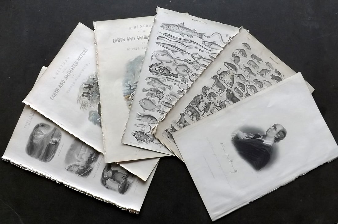 Goldsmith, Oliver C1860 Lot of 11 Natural History Prints etc (1 of 3)
