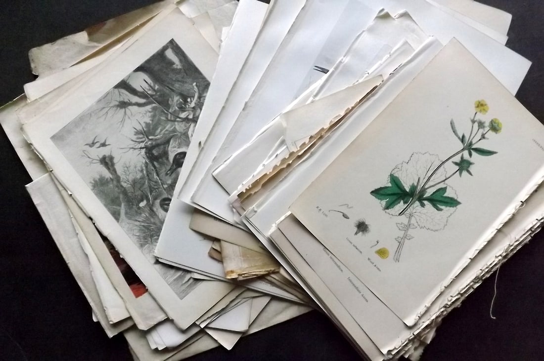 Mixed Prints 19th Cent. Lot of 70 Engravings & Lithos (1 of 9)