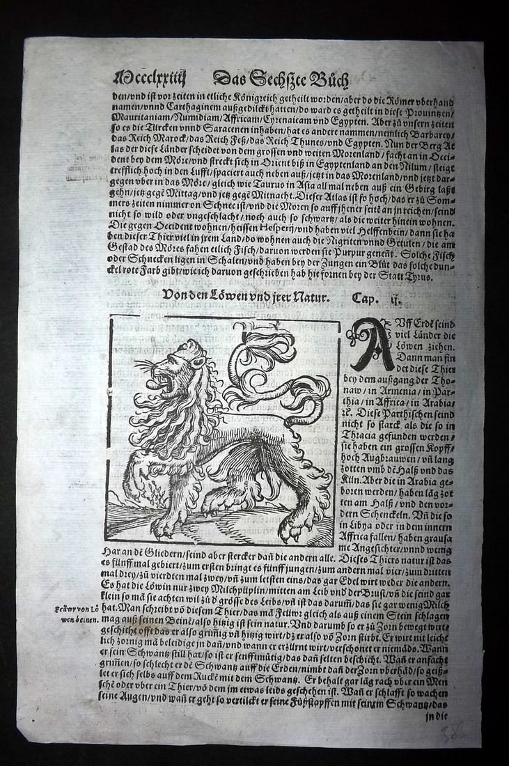 Munster, Sebastian 1578 Early Woodcut. Eleborate Lion: Woodcut Published 1578, Basel for the "Cosmographia" by Sebastian Munster. Printed both sides. Paper Size: 12 x 8 inch (30 x 20cm) Approx. Good Condition