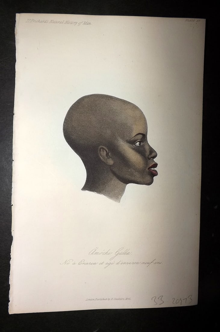 Prichard, James 1848 Hand Col Print. A Galler Boy nine years of age. Ethiopia 15: Hand Colored Aquatint Published 1848, London for "The Natural History of Man" by James Cowles Prichard. Fine hand colour as issued. On good quality Whatman Turkey Mill Wove Paper. Paper Size: 8.5 x 5.