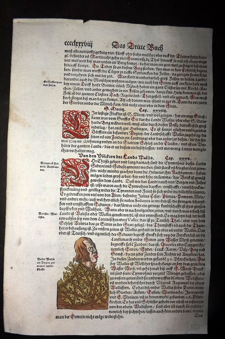 Munster, Sebastian 1588 Early Hand Col Woodcut. Monster Basilisk Human Cockerel Hybrid (1 of 1)