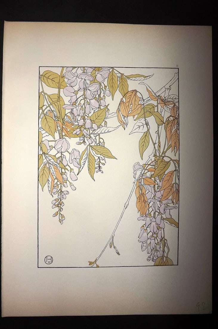 Foord, Jeannie 1901 Folio Art Nouveau Pochoir. Wisteria 11: Folio Pochoir Lithograph Published 1901, London for "Decorative Flower Studies" by Jeannie Foord. Scarce. Paper Size: 15 x 10.5 inch (38 x 27cm) Good Condition