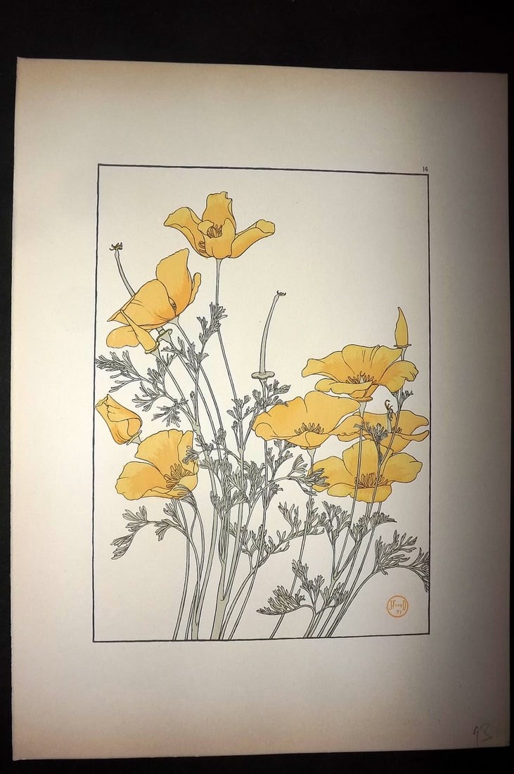 Foord, Jeannie 1901 Folio Art Nouveau Pochoir. Eschscholtzia 14 (1 of 1)