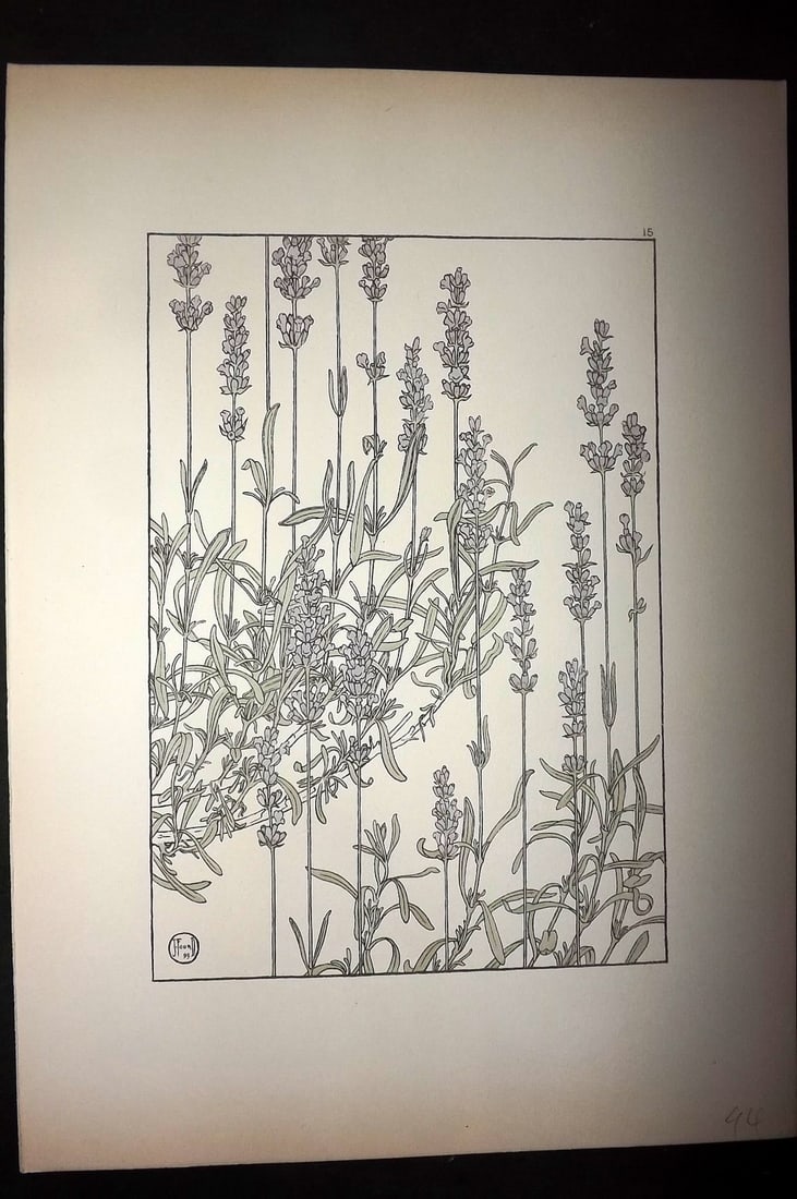 Foord, Jeannie 1901 Folio Art Nouveau Pochoir. Lavender 15 (1 of 1)