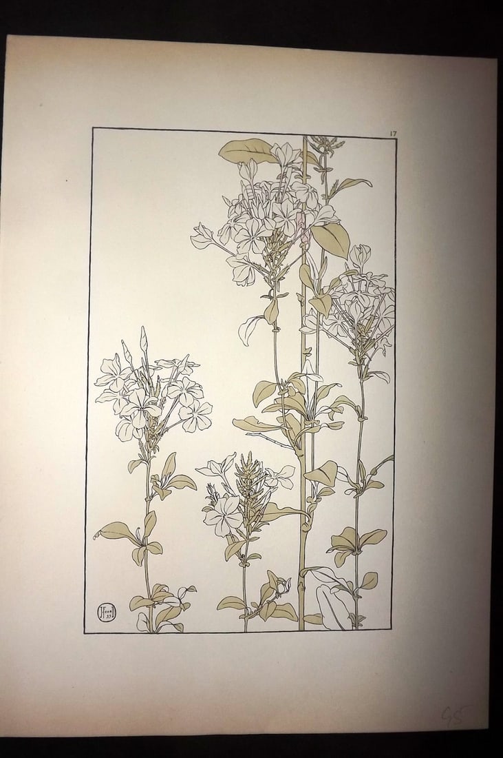 Foord, Jeannie 1901 Folio Art Nouveau Pochoir 17: Folio Pochoir Lithograph Published 1901, London for "Decorative Flower Studies" by Jeannie Foord. Scarce. Paper Size: 15 x 10.5 inch (38 x 27cm) Good Condition