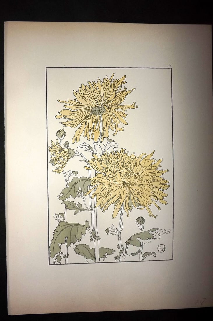 Foord, Jeannie 1901 Folio Art Nouveau Pochoir. Yellow Chrysanthemum 32: Folio Pochoir Lithograph Published 1901, London for "Decorative Flower Studies" by Jeannie Foord. Scarce. Paper Size: 15 x 10.5 inch (38 x 27cm) Good Condition