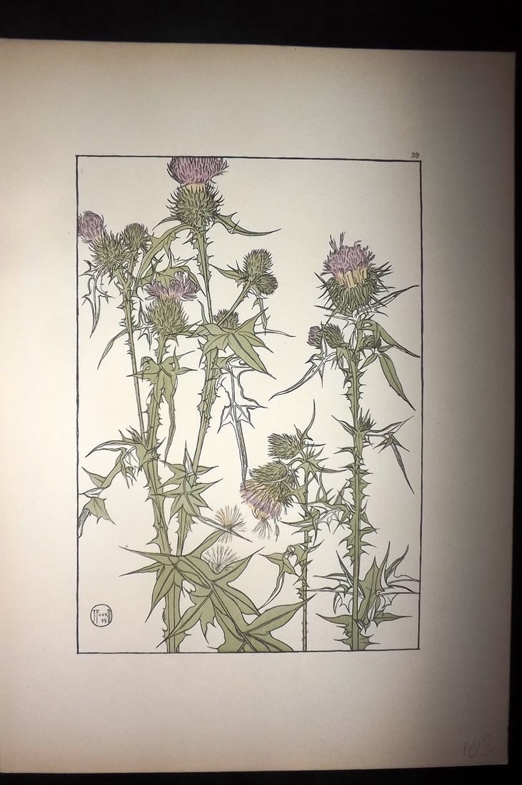 Foord, Jeannie 1901 Folio Art Nouveau Pochoir. The Thistle 39 (1 of 1)