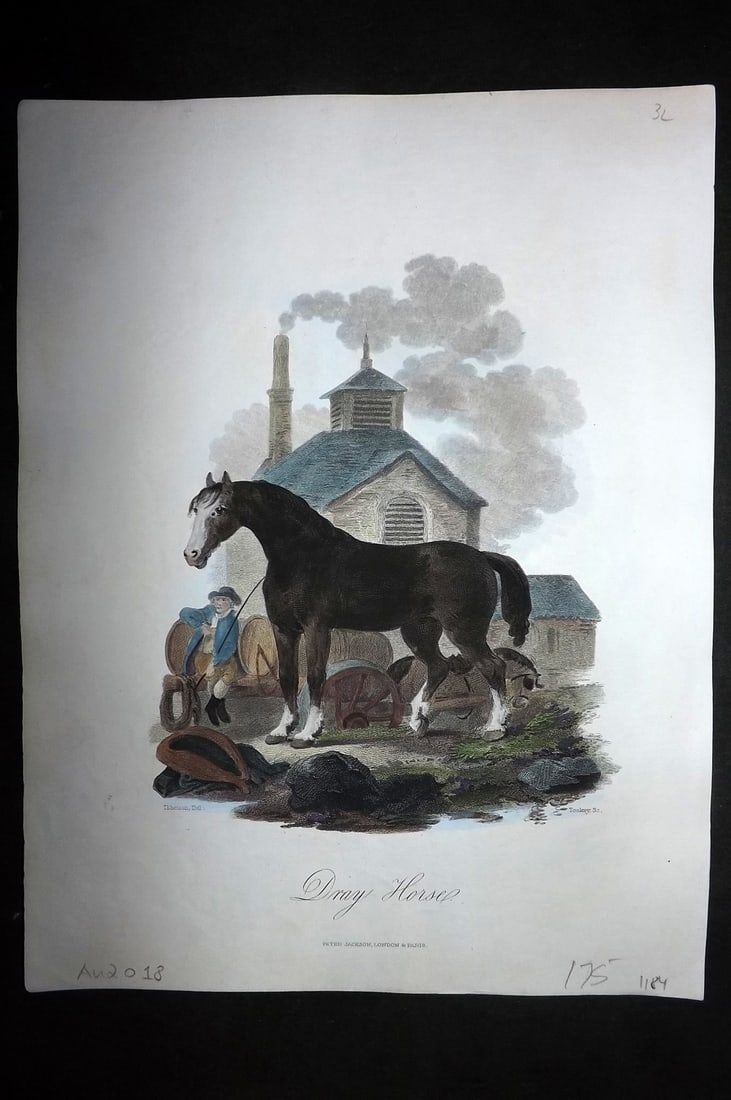 Church, John 1849 Hand Col Print. Dray Horse (1 of 1)