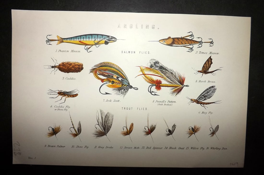 National Encyclopedia 1891 Print. Angling - Salmon & Trout Flies (1 of 1)