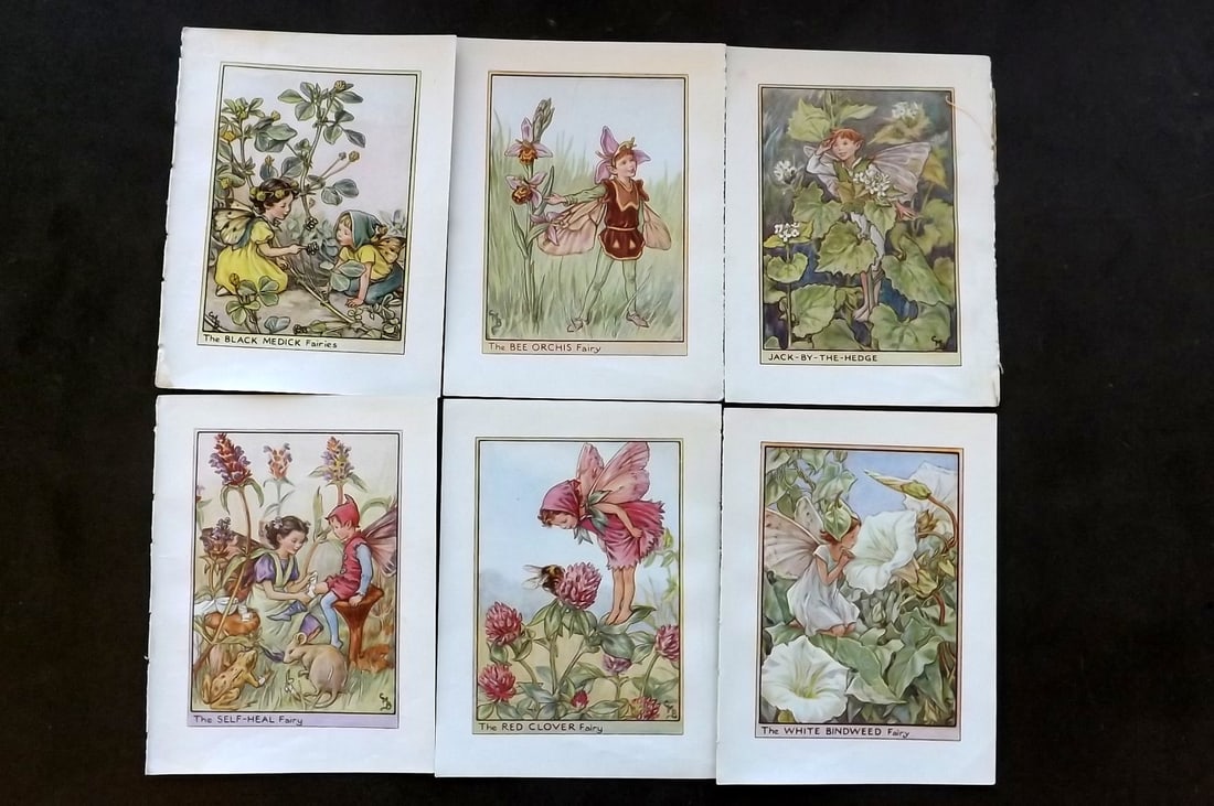 Barker, Cicely Mary C1940 Lot of 6 Flower-Fairy Prints - Wayside (1 of 1)