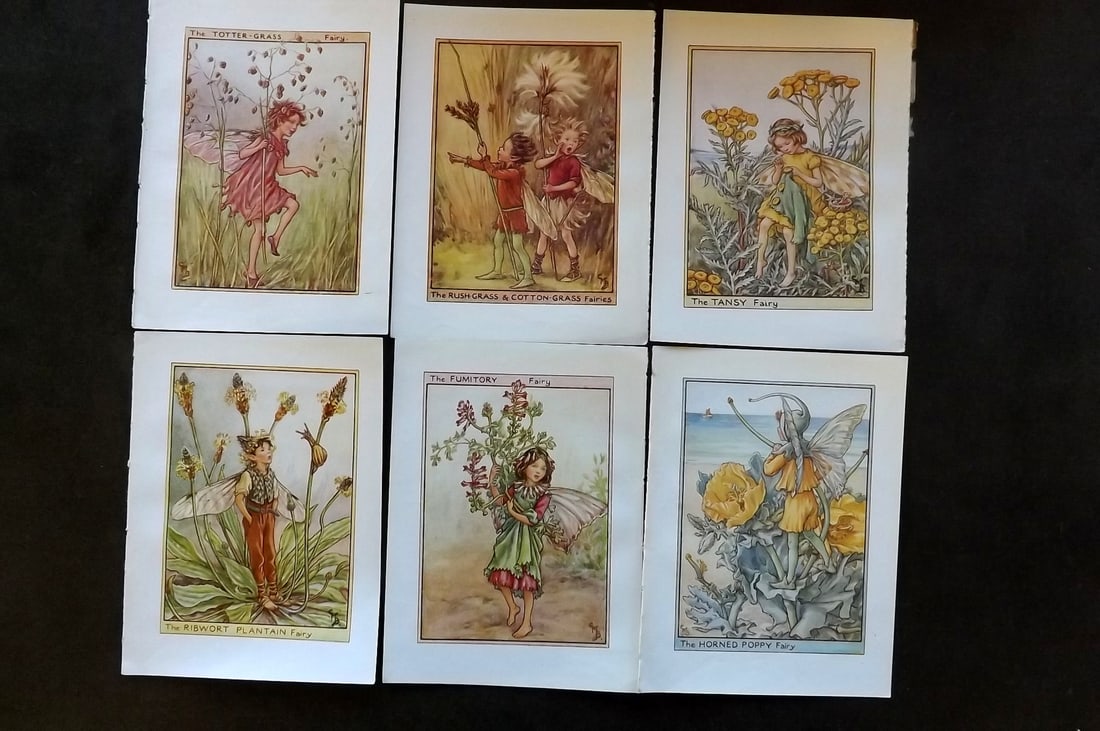 Barker, Cicely Mary C1940 Lot of 6 Flower-Fairy Prints - Wayside (1 of 1)