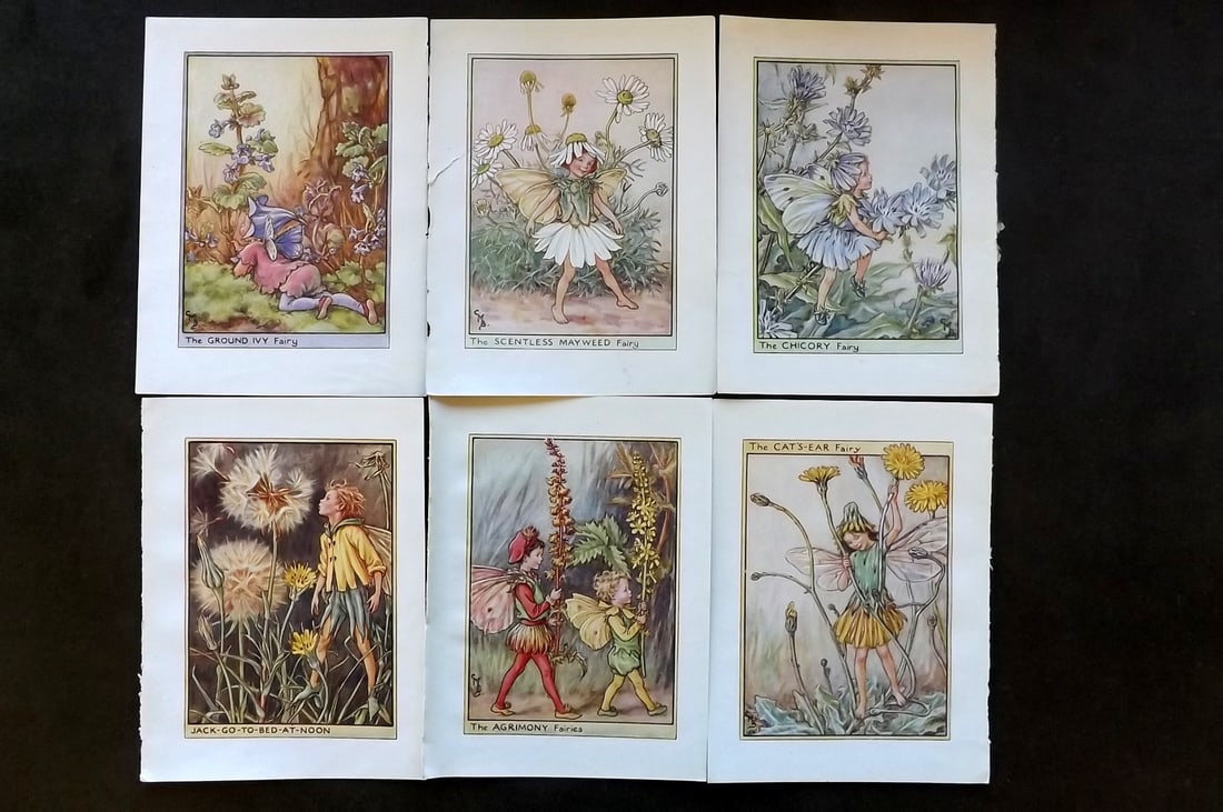 Barker, Cicely Mary C1940 Lot of 6 Flower-Fairy Prints - Wayside (1 of 1)