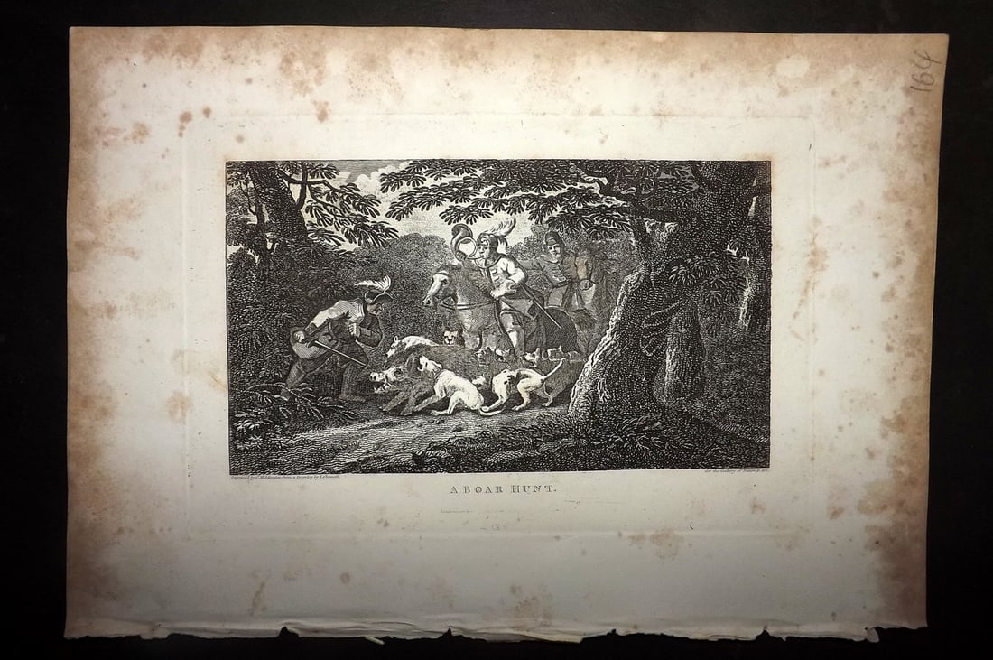 Polehampton, Edward 1823 Print. A Boar Hunt: Copper Plate Published 1823, London for "The Gallery of Nature and Art: or, A Tour Through Creation and Science" by the Rev. Edward Polehampton & John M. Good. Paper Size: 10 x 7 inch (26 x 18cm) Marg