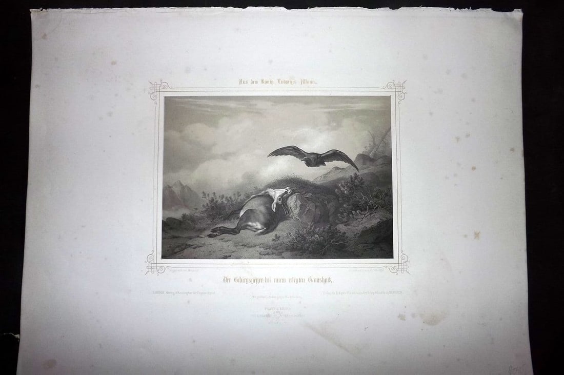 King Ludwig Album 1850's LG Folio Bird Print. Eagle & Fallen Chamois: Antique Large Folio Lithograph Published 1850-59, Munich for "Album Seiner Majestat Konigs Ludwig I von Bayern, von Deutschen Kunstlern gewidmet am Tage der feyerlichen Enthullung" [King Ludwig's Albu