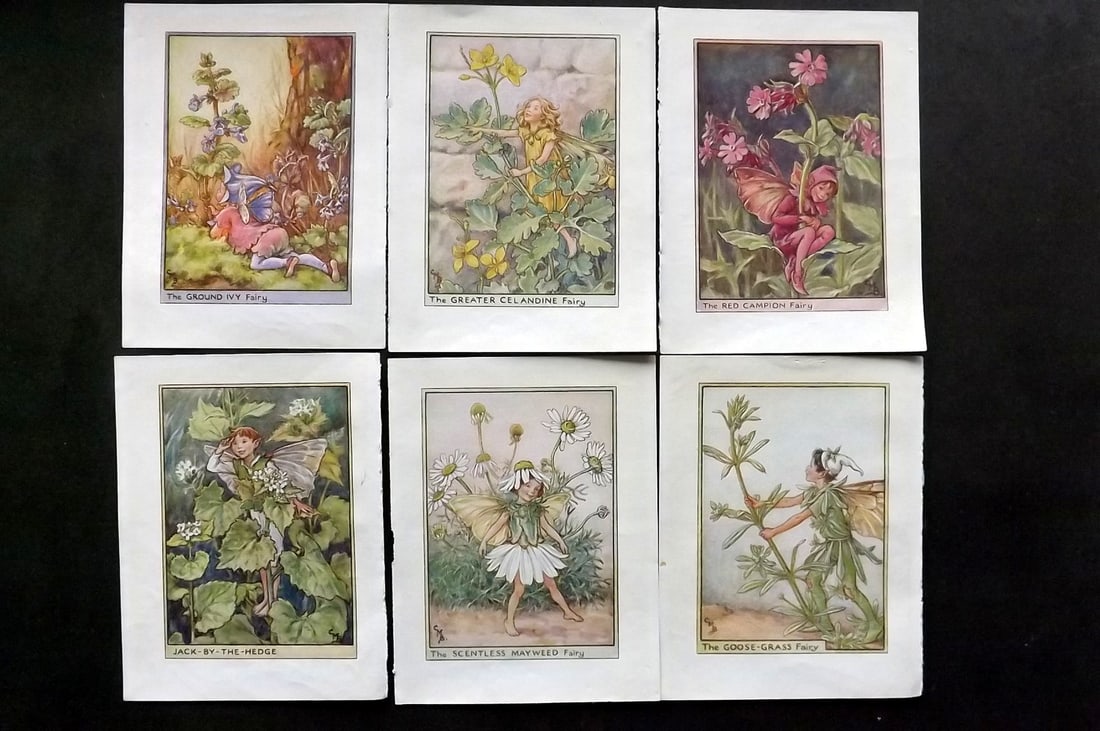 Barker, Cicely Mary C1940 Lot of 6 Flower-Fairy Prints - Wayside: Wayside Fairies. Lithographs Published C1935-45 by Blackie & Son, London & Glasgow for the "Flower-Fairies" Series by Cicely Mary Barker. Reverse side blank.Paper Size: 5.5 x 4 inch (14 x 10cm) Good C