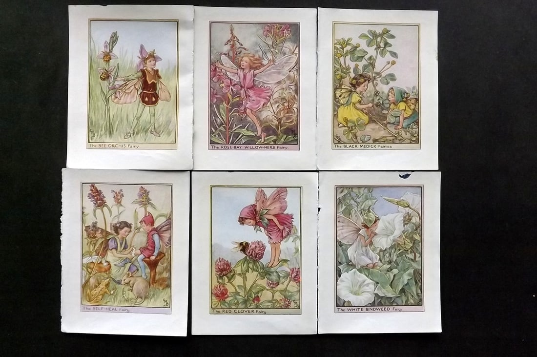 Barker, Cicely Mary C1940 Lot of 6 Flower-Fairy Prints - Wayside: Wayside Fairies. Lithographs Published C1935-45 by Blackie & Son, London & Glasgow for the "Flower-Fairies" Series by Cicely Mary Barker. Reverse side blank.Paper Size: 5.5 x 4 inch (14 x 10cm) Good C