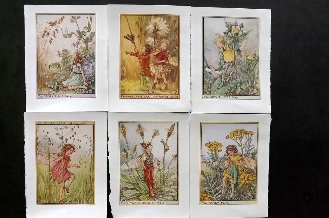 Barker, Cicely Mary C1940 Lot of 6 Flower-Fairy Prints - Wayside: Wayside Fairies. Lithographs Published C1935-45 by Blackie & Son, London & Glasgow for the "Flower-Fairies" Series by Cicely Mary Barker. Reverse side blank.Paper Size: 5.5 x 4 inch (14 x 10cm) Good C