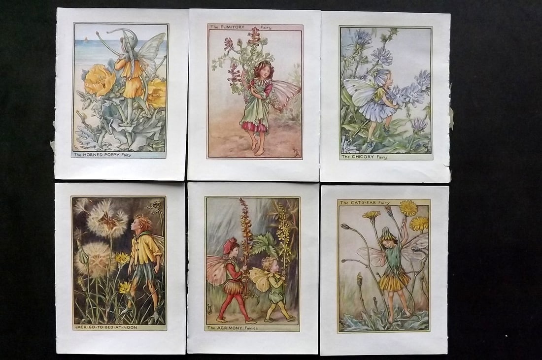 Barker, Cicely Mary C1940 Lot of 6 Flower-Fairy Prints - Wayside: Wayside Fairies. Lithographs Published C1935-45 by Blackie & Son, London & Glasgow for the "Flower-Fairies" Series by Cicely Mary Barker. Reverse side blank.Paper Size: 5.5 x 4 inch (14 x 10cm) Good C