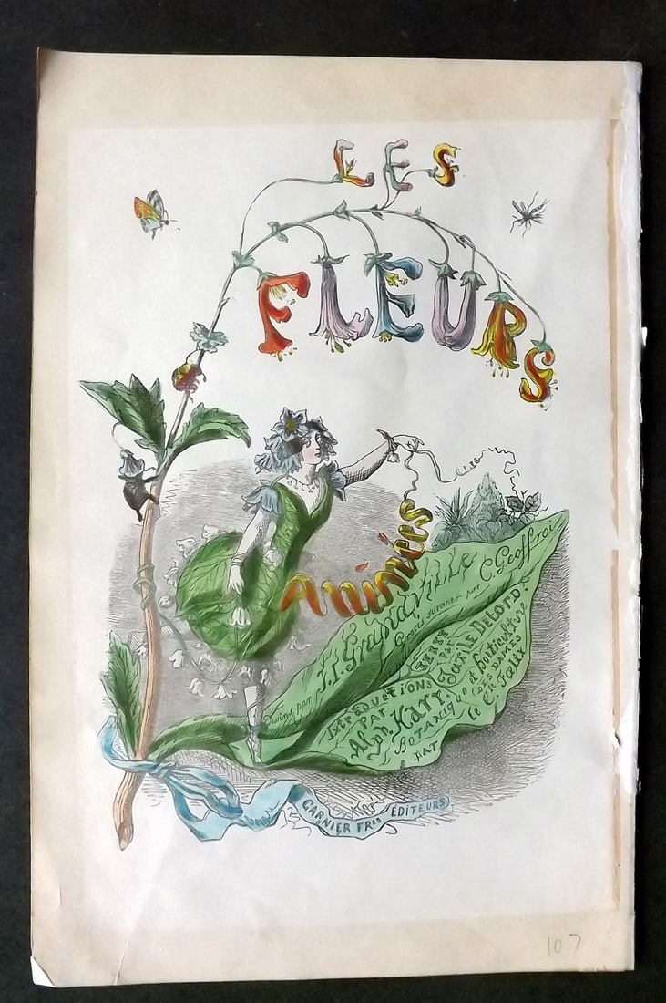 Grandville, J. J (Pseud) 1867 Hand Col Botanical Print. Les Fleurs Animees Illus. Title: Hand Coloured Steel Engraving Published 1867, Paris for "Les Fleurs Animees" Jean Ignace Isidore G?rard (J. J. Grandville Pseud) Paper Size: 10.5 x 7 inch (27 x 18cm) Some marging toning, otherwise Go